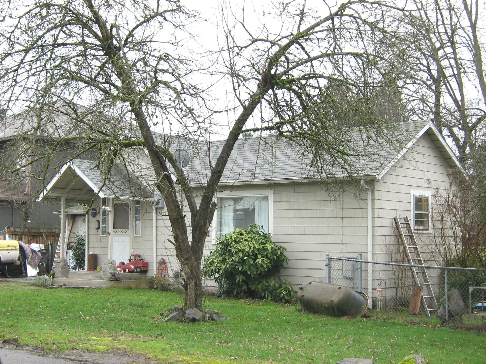 Before: The house before the remodel — original siding and roof, overgrown yard.