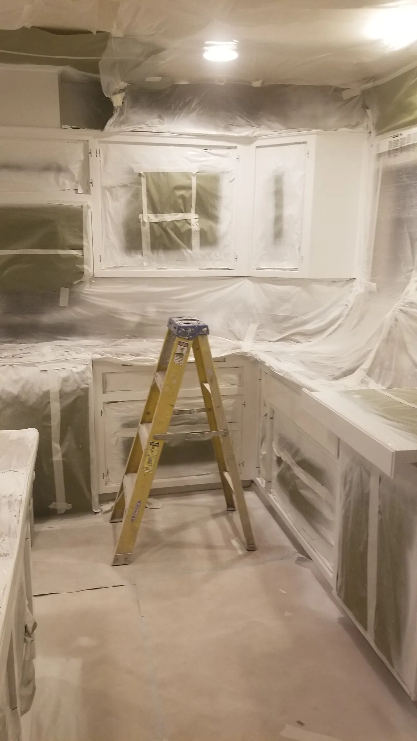 Paint: Whole kitchen sprayed, waiting on doors