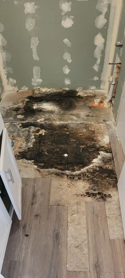 Rot and mold found under the old tub — NE 59th Ave