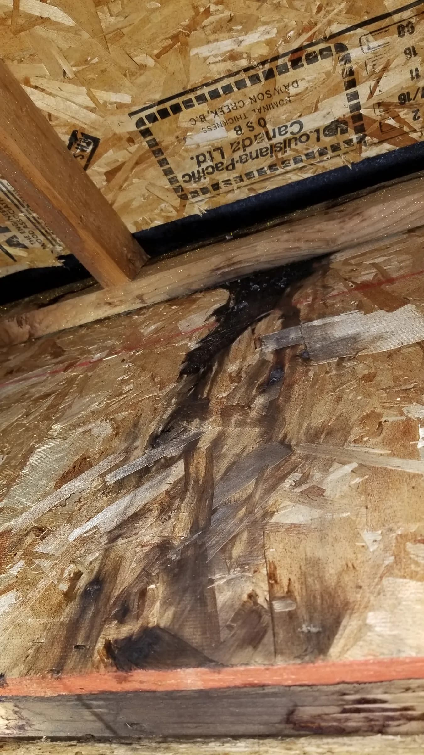 Repair: Water-rotted sheathing hidden inside the wall
