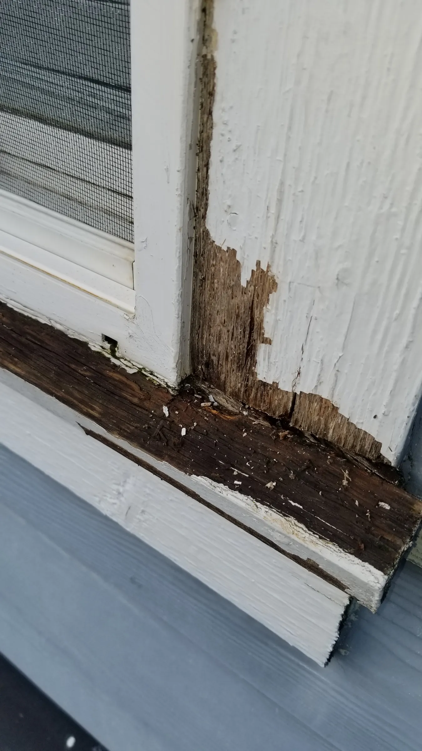 Before: Window sill and trim rotted through