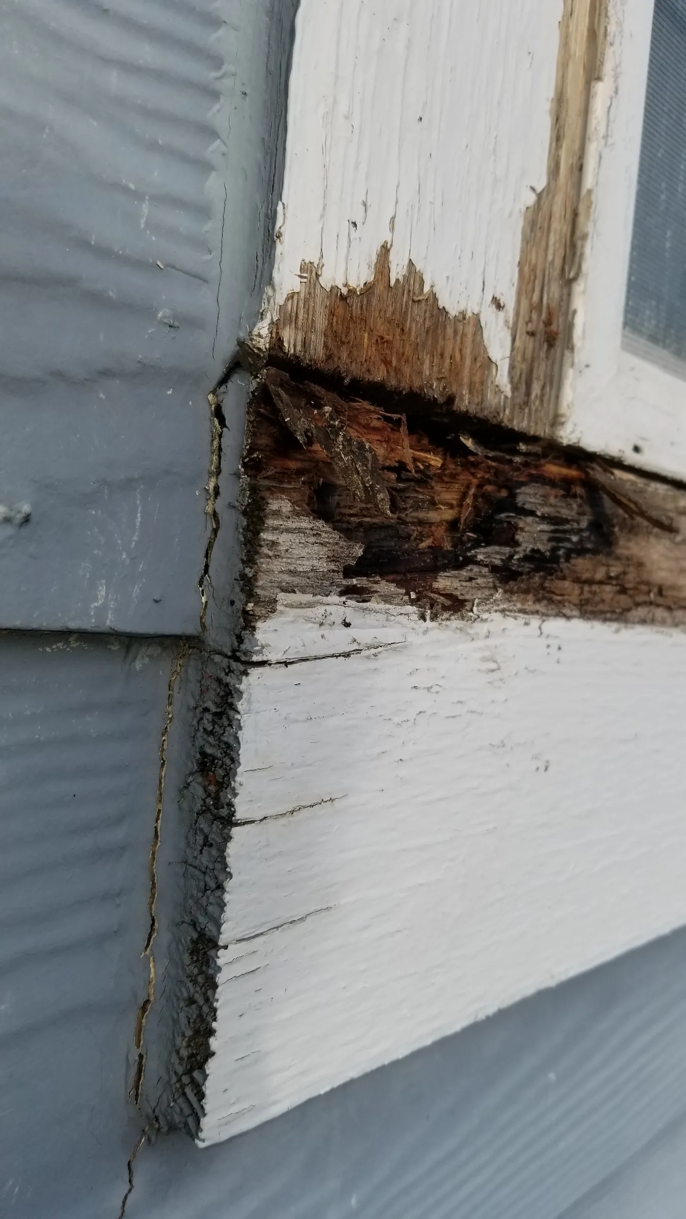 Before: Rot at the siding-to-trim joint — the failed caulk line